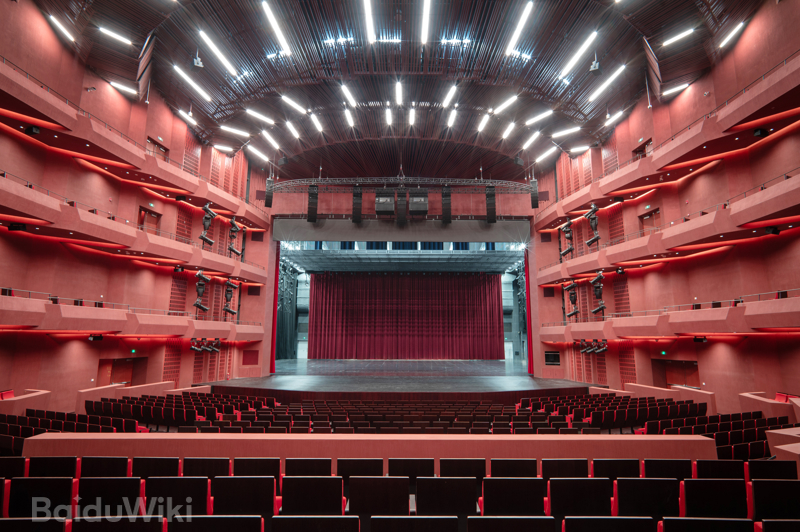 Moment at the Shanghai Grand Opera House